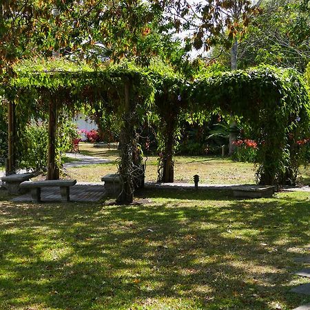 Hotel Bougainvillea San Jose Σάντο Ντομίγκο Εξωτερικό φωτογραφία